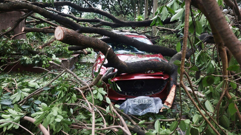 Число жертв тайфуна "Яги" во Вьетнаме возросло до 127 человек