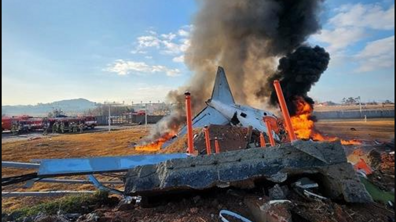 Предположительно, Boeing 737 в Южной Корее разбился из-за столкновения со стаей птиц